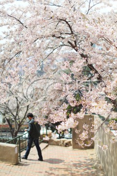 青岛三明路