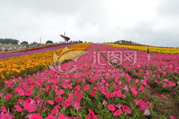 花园