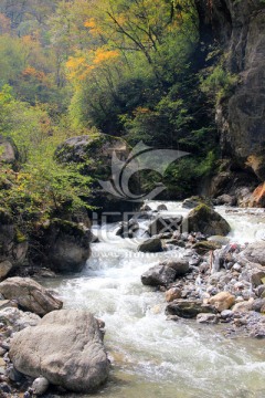 山泉 溪流