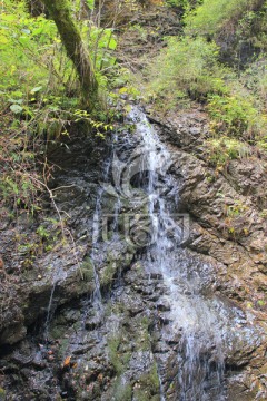 山泉 溪流