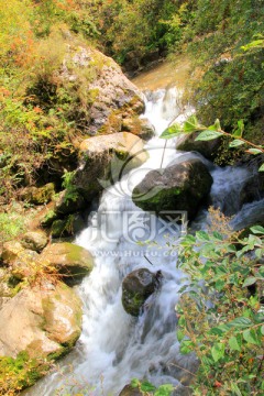 山泉 溪流