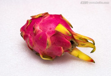 火龙果