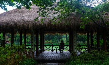 草庐 杭州 烟雨江南