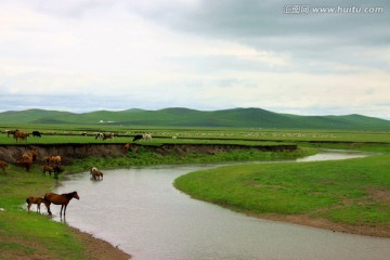 草原上的马群牧场河流
