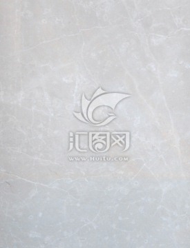 白玉兰