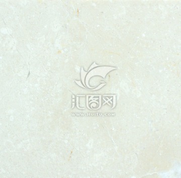 白玉兰