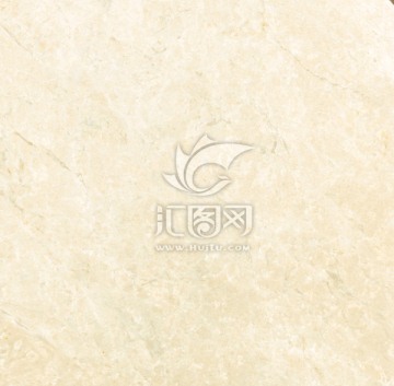 白玉兰