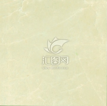 白玉兰