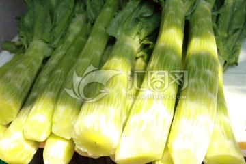 莴苣