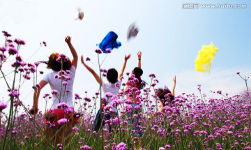 马鞭草 女人 欢呼