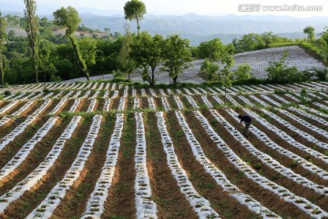 田园风光