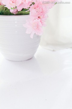 唯美粉色瓶装兰花