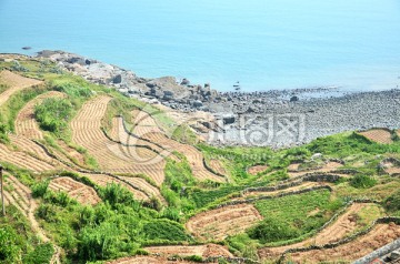 水库 梯田