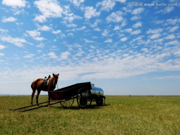 草原上的马与车
