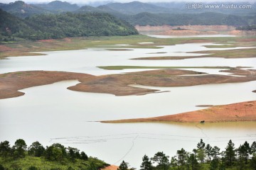 湿地