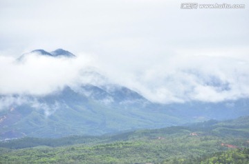 迷雾森林