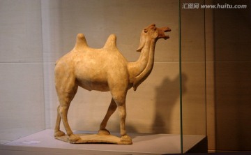 陶骆驼 陶器