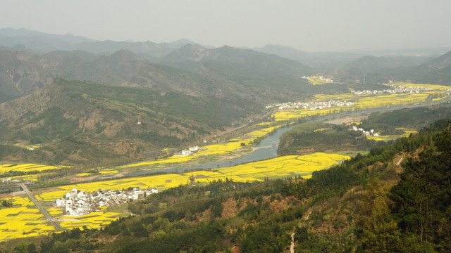 安徽黄山歙县霞坑镇石潭油菜花