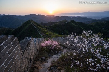 野花与陈家堡长城日落