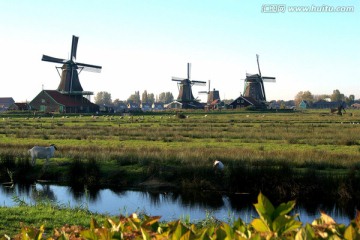 荷兰阿姆斯特丹风车村风光