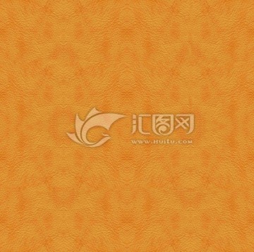 皮纹