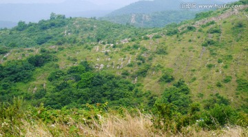 青山