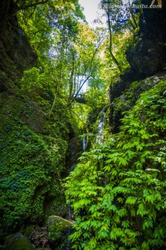 青城后山