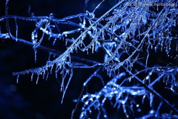 树枝的冰凌