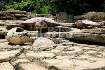 石龟雕塑