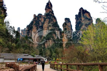 张家界奇峰