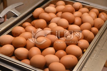 煮鸡蛋高清jpg