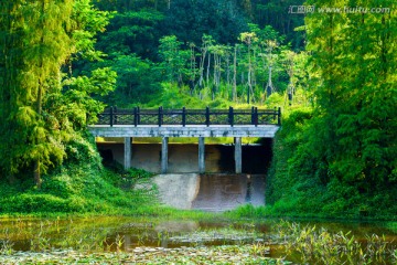 森林公园石桥