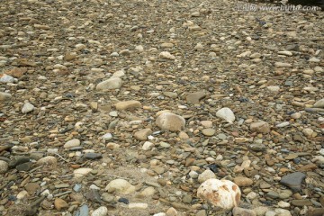 河滩沙滩卵石风景河流