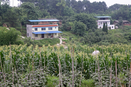 乡村 山村 农家