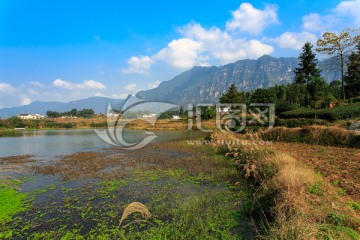 叙永丹山苏家湾池塘水草芦苇