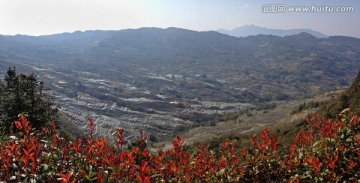 坝达梯田全景