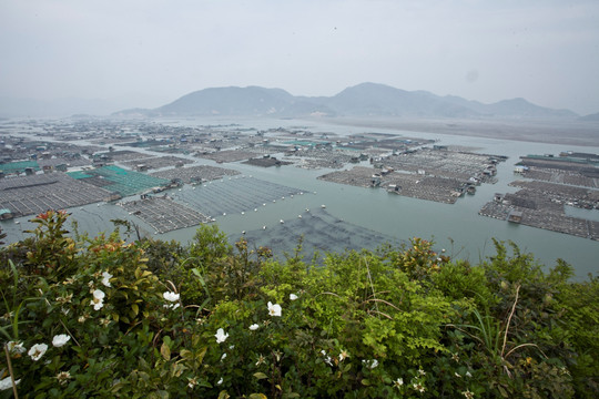 霞浦