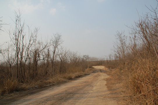 土路 乡间小路