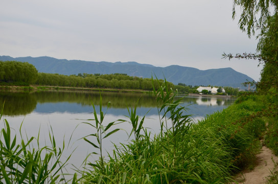 稻香湖湿地公园