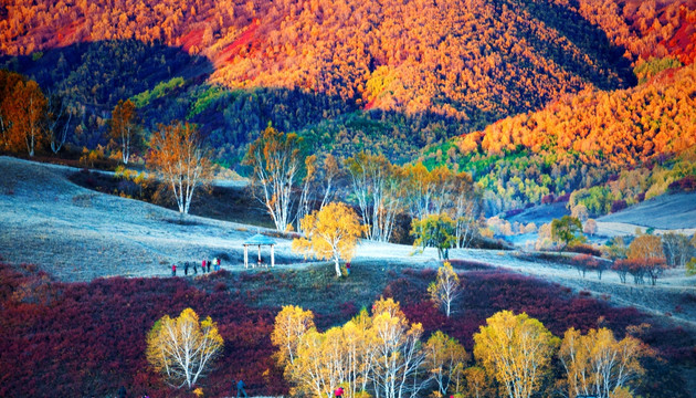 草原风光 坝上风光