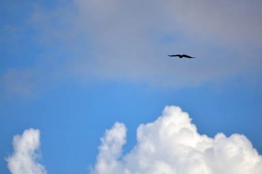 海阔天空