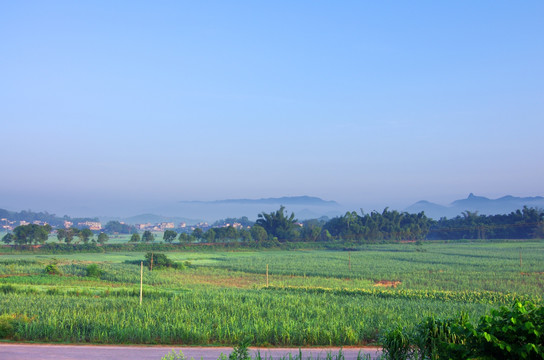 清晨 美丽乡村