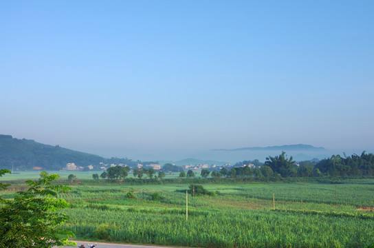 乡村清晨