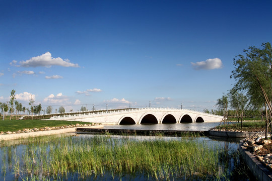 湿地 公园 桥
