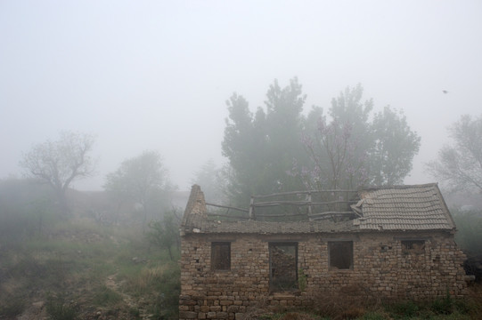 农村大雾