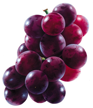 紫葡萄美国提子
