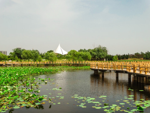 昌邑潍水湿地公园