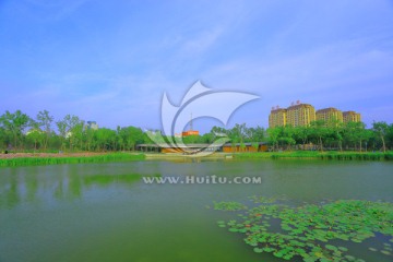 黄县林苑 烟台 湿地公园