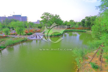 黄县林苑 湿地公园