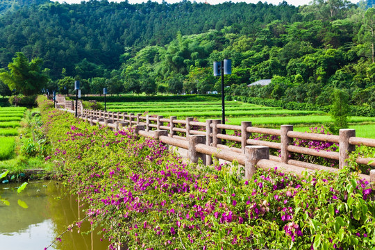 田园 田野 园林